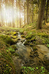 Image showing Falls on the small mountain river in a forest