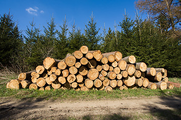 Image showing Pile of wood near forest road