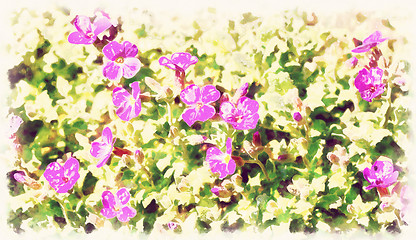 Image showing Beautiful spring flowers in sunny day in vintage tone