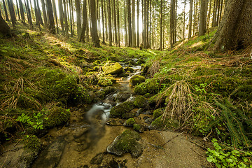 Image showing Falls on the small mountain river in a forest