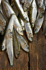 Image showing Heap of small anchovies