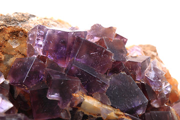 Image showing violet fluorite cubes