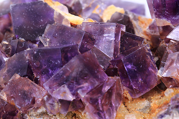 Image showing violet fluorite cubes