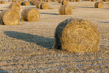 Image showing straw stack  