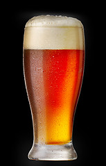 Image showing glass of beer