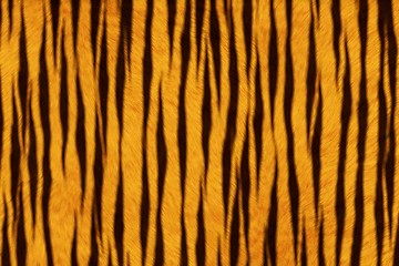 Image showing Fur Animal Textures, Tiger