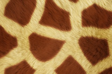 Image showing Fur Animal Textures, Girafe