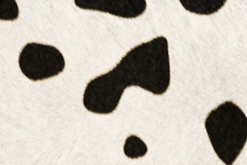 Image showing Fur Animal Textures, Cow