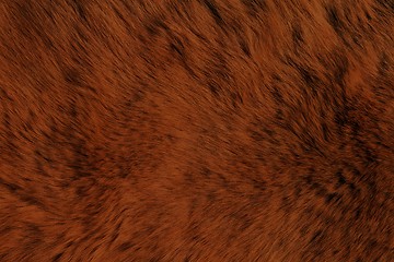 Image showing Fur Animal Textures, Brown Bear