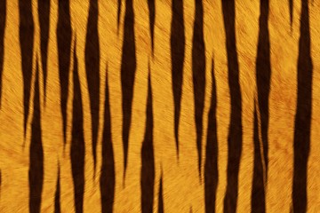 Image showing Fur Animal Textures, Tiger