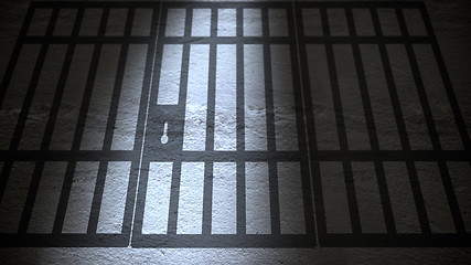 Image showing Shadow of Jail Bars closing