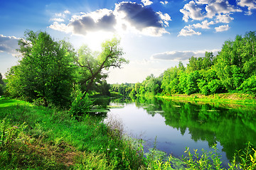 Image showing Green forest on river