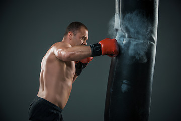 Image showing Young Boxer fighter 