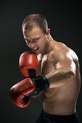 Image showing Young Boxer boxing 