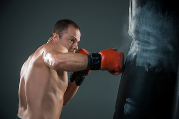 Image showing Young Boxer fighter 