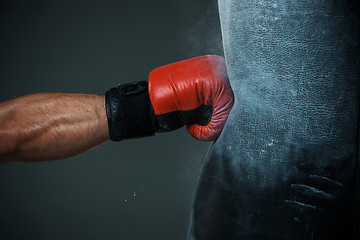 Image showing Boxing training and Punching bag