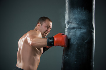 Image showing Young Boxer fighter 