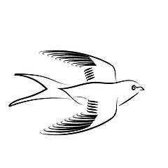 Image showing Swallow