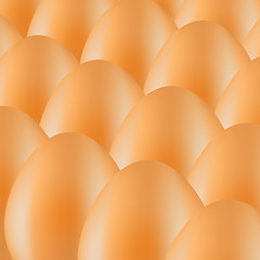 Image showing Organic Eggs