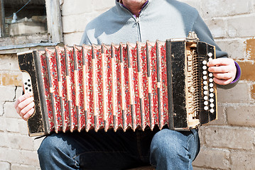 Image showing man playing concertina