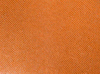 Image showing Artificial leather. Macro. Imitation snake skin