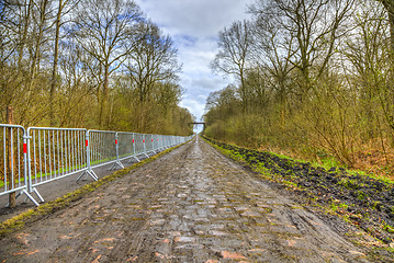 Image showing Pave d'Arenberg