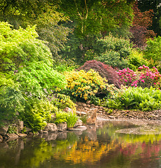 Image showing Garden full of flowers