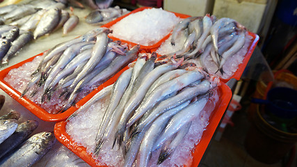 Image showing Fresh fish in the orange box.