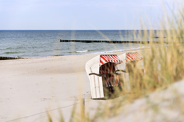 Image showing Dune grass on Baltic Sea beach