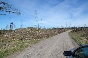 Image showing Driving through a clear cut forest