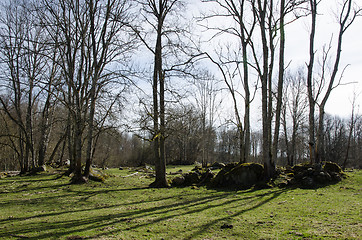 Image showing Rocky pastureland