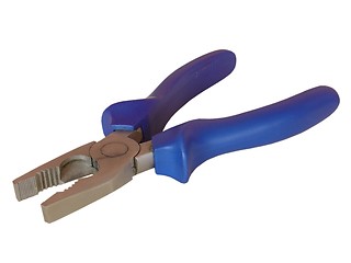 Image showing Tongs