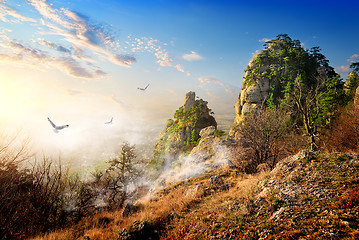 Image showing Birds over cliffs