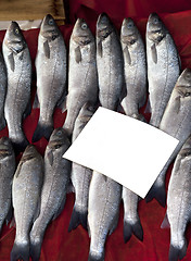 Image showing Sea bass at fish market