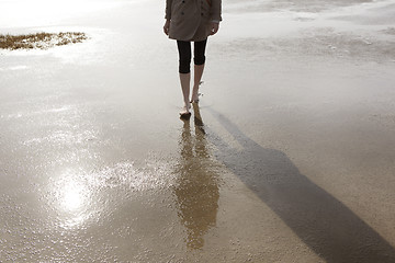 Image showing Wadden Sea walk