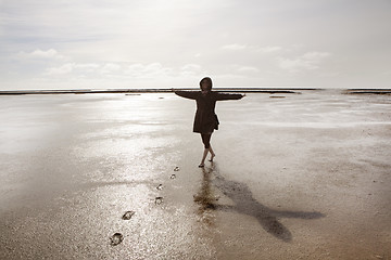 Image showing Holidays on the North Sea