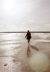 Image showing walk in the Wadden Sea