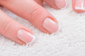 Image showing Fingers with french manicure
