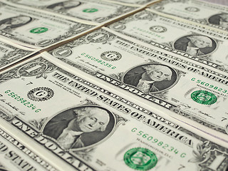 Image showing Dollar notes 1 Dollar