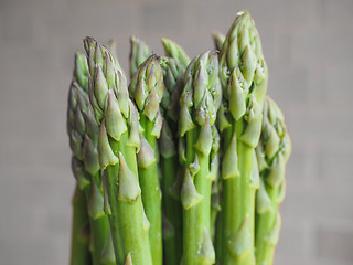 Image showing Asparagus vegetable