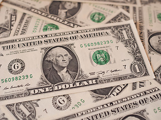 Image showing Dollar notes 1 Dollar