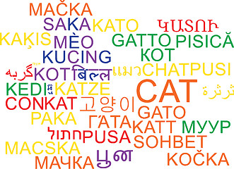 Image showing Cat multilanguage wordcloud background concept