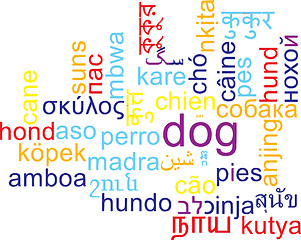 Image showing Dog multilanguage wordcloud background concept