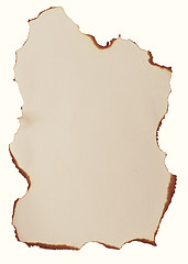 Image showing burnt paper