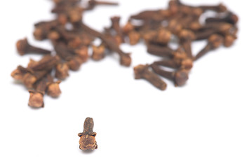 Image showing cloves