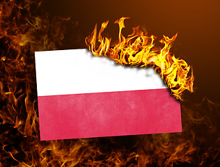 Image showing Flag burning - Poland