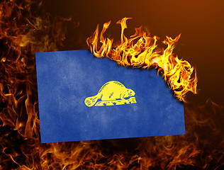 Image showing Flag burning - Oregon