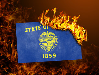 Image showing Flag burning - Oregon