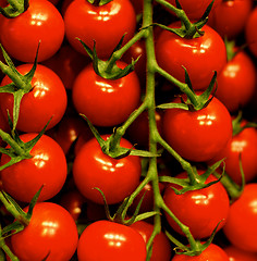Image showing Cherry Tomatoes Background