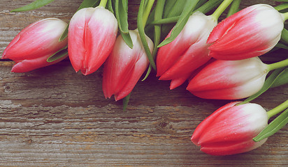 Image showing Spring Tulips